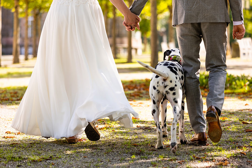 Hochzeit von Maren &amp; Lucas