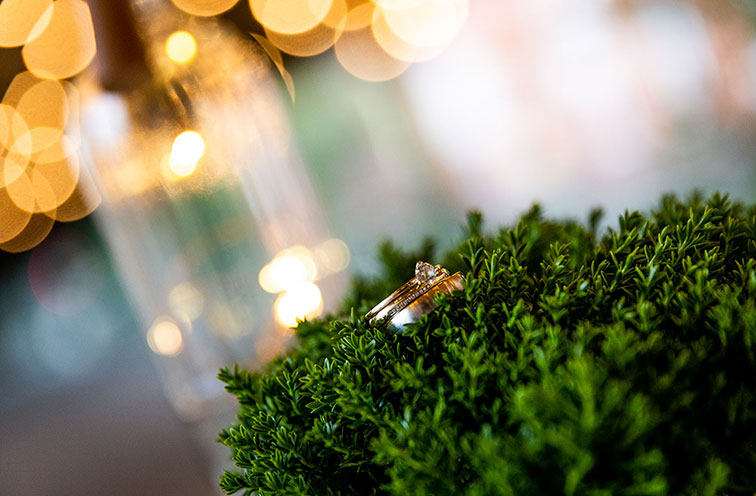 Hochzeit von Tine und Robert